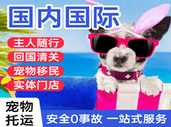 呼和浩特白塔航空邮寄国际宠物托运 【国